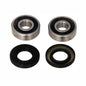 REAR WHEEL BEARING KITS