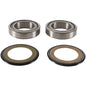 PIVOT WORKS STEERING STEM BEARING KIT