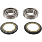 PIVOT WORKS STEERING STEM BEARING KIT