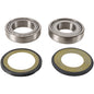 PIVOT WORKS STEERING STEM BEARING KIT