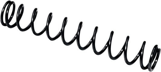 FEULING PARTS Camplate Pressure Relief Spring - Twin Cam Engine Camplates '99-'17 8019