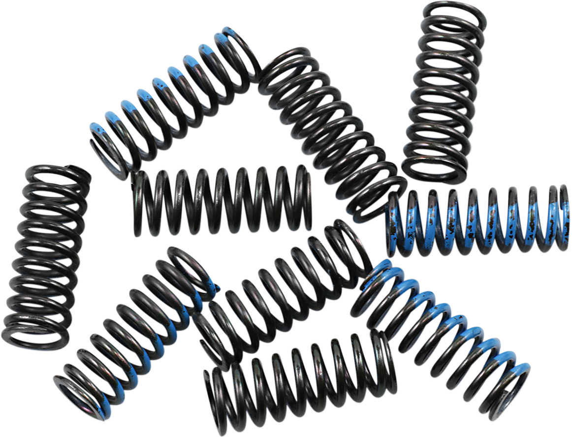 BARNETT Clutch Springs 5013210068