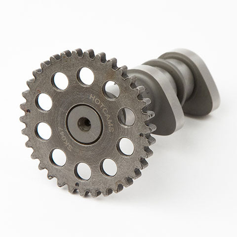 HOTCAMS CAMSHAFTS
