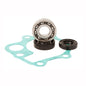 HOTROD'S INC Water Pump Kit WPK0013 for Classic Cars and Performance Vehicles