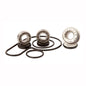 Hotrod's Inc Water Pump Kit WPK0053 for Automotive Repairs