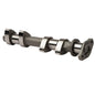 HOTCAMS CAMSHAFTS POLARIS
