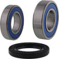 All Balls Racing Wheel Bearing Kit 25-1838 for Enhanced Vehicle Performance