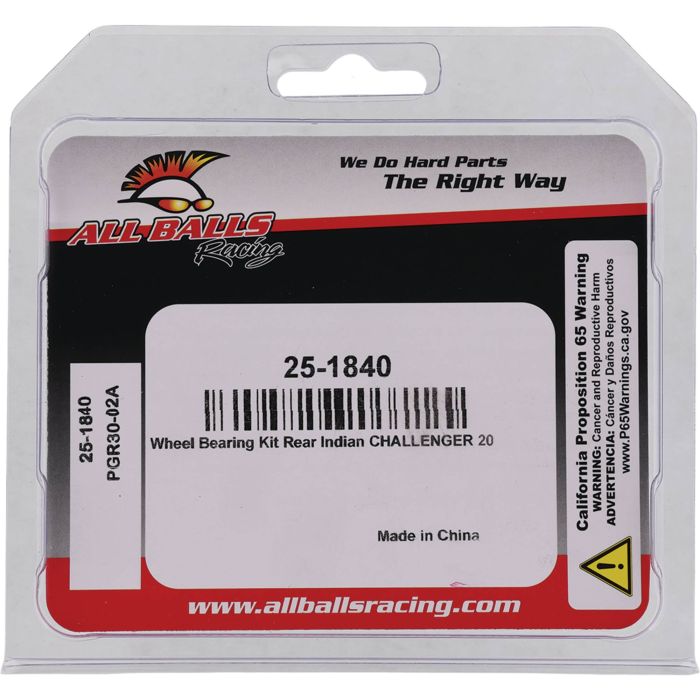 All Balls Racing Wheel Bearing Kit - Part Number 25-1840