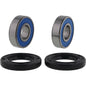 All Balls Racing Wheel Bearing Kit (Part #25-1848)