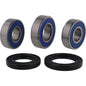 All Balls Racing Wheel Bearing Kit Part 25-1860 for Enhanced Motorcycle Performance