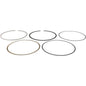 Vertex Piston Ring 590393000005 for Engine Performance and Durability