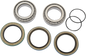 PIVOT WORKS Wheel Bearing Kit - Rear - Outlaw/Predator PWRWK-P10-000