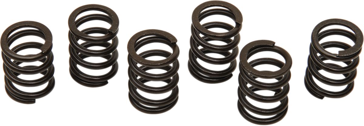BARNETT Clutch Spring Set - TL1000R/S 501-38-06012
