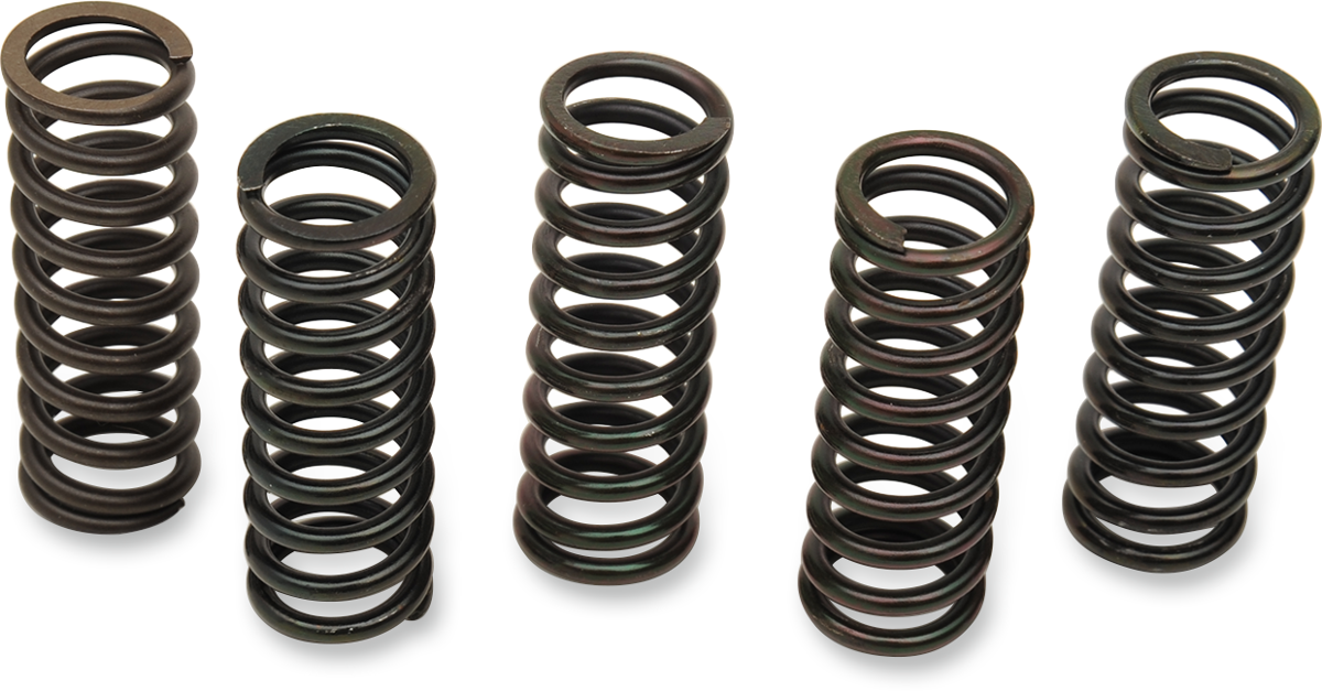 BARNETT Clutch Spring Set - Honda/Triumph 501-61-05079