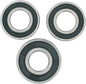 PIVOT WORKS Wheel Bearing Kit - Rear - Gas Gas/KTM/Husqvarna/Kawasaki PWRWK-T06-000