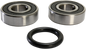 PIVOT WORKS Wheel Bearing Kit - Front - '99-'06 Victory V 1500/Cruiser PWFWS-V01-000
