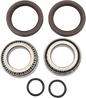 PIVOT WORKS Wheel Bearing Kit - Rear - '00-'03 DS 650 PWRWK-C05-000