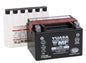 YUASA YTX9-BS Maintenance-Free 12 Volt Motorcycle Battery
