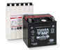 YUASA YTX14L-BS Maintenance-Free 12V Battery for Motorcycles and Powersports Vehicles