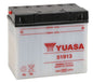 YUASA YUAM2219A YUMICRON 12V Battery for Reliable Power Supply