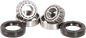 PIVOT WORKS Wheel Bearing Kit - Front - '73-'99 Harley-Davidson PWFWS-HD01-000