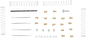 DYNOJET Jet Kit - Stage 1/3 - Kawasaki 2195