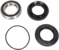 PIVOT WORKS Wheel Bearing Kit - Rear - '07-'13 TRX 420 PWRWK-H71-000