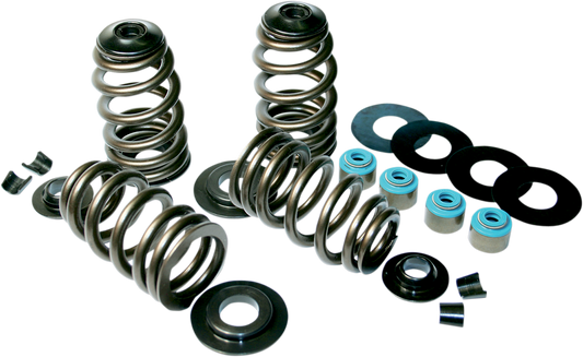 FEULING PARTS Valve Spring Kit - Steel Retainers - 5/16" Valve Stem - EVO | Twin Cam 1120