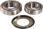 PIVOT WORKS Steering Stem Bearing Kit - Honda/Triumph PWSSK-H11-000