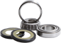 PIVOT WORKS Steering Stem Bearing Kit PWSSK-HD01-000
