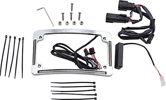 CUSTOM DYNAMICS Radius License Plate Frame - Chrome TF05-BCM4-C