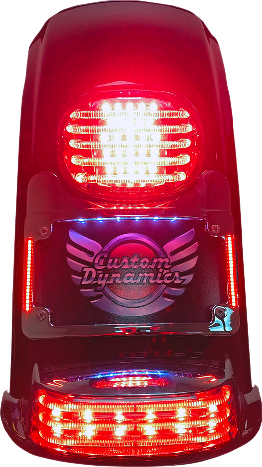 CUSTOM DYNAMICS License Plate Frame/Turn Signal Eliminator - Black TS-ELIM-06BCM-B
