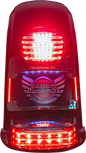 CUSTOM DYNAMICS License Plate Frame/Turn Signal Eliminator - Black TS-ELIM-06BCM-B