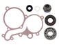 SPI WATER PUMP REPAIR KIT