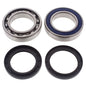 All Balls Racing Chaincase Bearing Kit for Arctic Cat Models - Part #14-1065