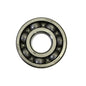 All Balls Racing Engine Bearing 6305 Narrow - High-Performance Engine Component