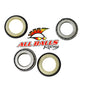 All Balls Racing Steering Stem Bearing Kit for Enhanced Handling and Durability