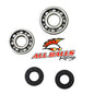 All Balls Racing Crank Bearing and Seal Kit (Part #24-1007)