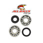 All Balls Racing Crank Bearing and Seal Kit (Part Number 24-1008)