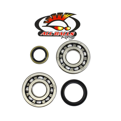 All Balls Racing Crank Bearing and Seal Kit (Part #24-1021)