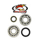 All Balls Racing Crank Bearing and Seal Kit (Part #24-1021)