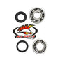 All Balls Racing Crankshaft Bearing and Seal Kit (Part #24-1043)