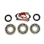 All Balls Racing Crankshaft Bearing and Seal Kit (Part #24-1084)