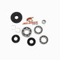 All Balls Racing Differential Bearing Kit (Part #25-2016)