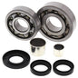 All Balls Racing Differential Bearing Kit Part #25-2053