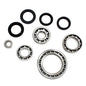 All Balls Racing Differential Bearing and Seal Kit (Part #25-2064)