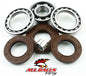 All Balls Racing Differential Bearing and Seal Kit (Part #25-2081)