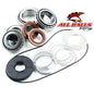 All Balls Racing Differential Bearing and Seal Kit (Part #25-2082)