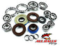 All Balls Racing Differential Bearing and Seal Kit (Part No. 25-2084)