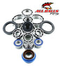 All Balls Racing Differential Bearing and Seal Kit (Part Number 25-2089)